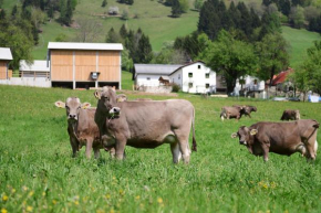 Ekološka turistična kmetija pri Lovrču